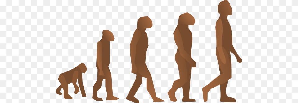 Evolution Steps Clip Art Is, Person, Walking, Adult, Back Png