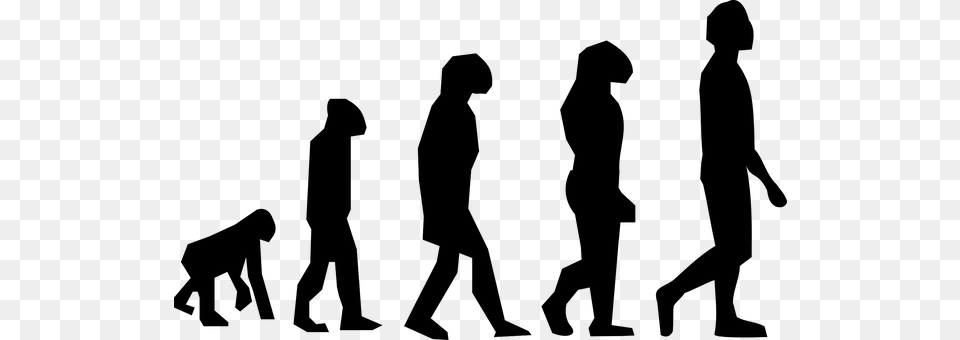 Evolution Walking Charles Darwin Science M Theory Of Evolution, Gray Png Image