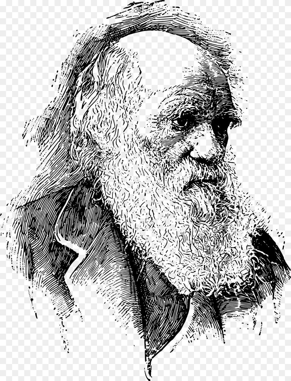 Evolutionary Medicine And Darwin, Gray Free Transparent Png