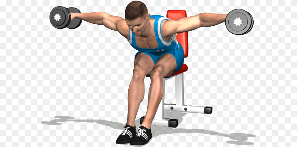 Evolutionfit Seated Dumbells Rear Delt Alzate Laterali A, Adult, Male, Man, Person Free Transparent Png