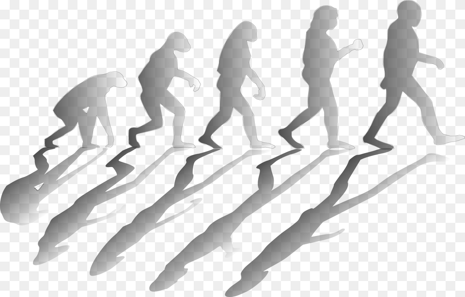 Evolve Log In Contributions Of Charles Darwin In Science, People, Person, Silhouette, Walking Free Png