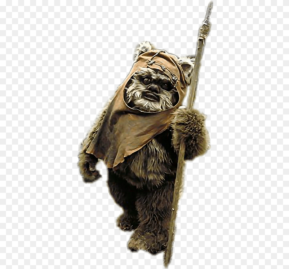 Ewok Star Wars Hd Download, Bronze, Adult, Bride, Female Free Transparent Png