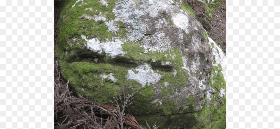 Example Of A Stone With Cut Marks In Front Cup Marks Stone East Oriental Transparent, Algae, Moss, Plant, Rock Png