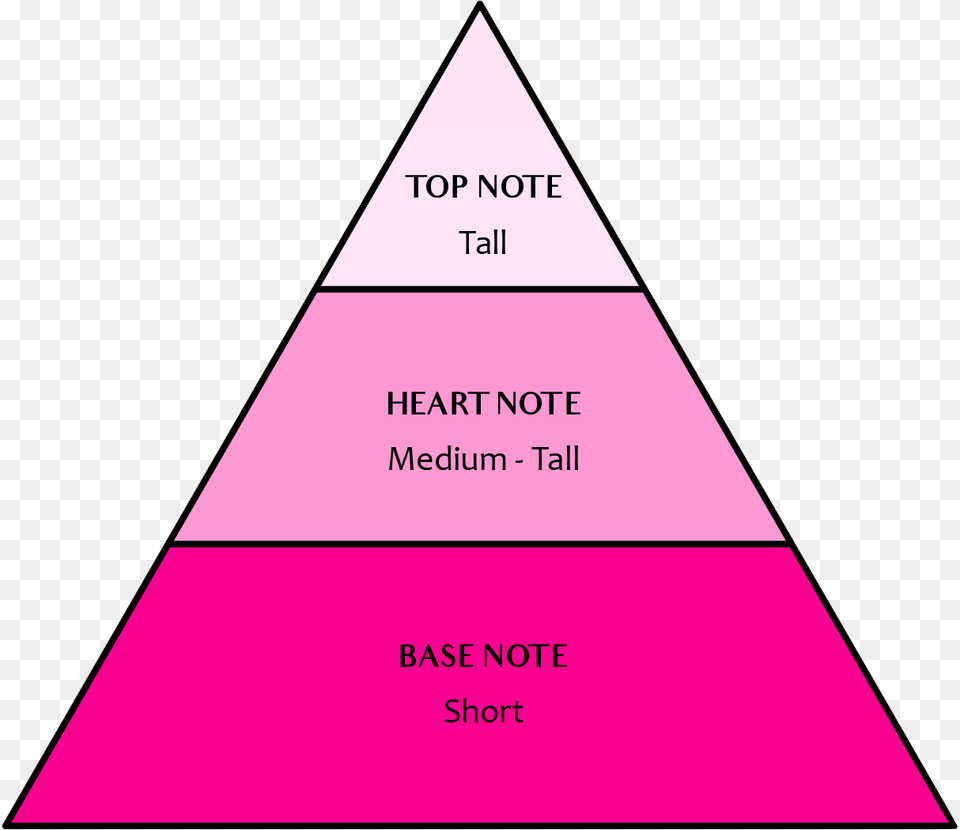Example Of Pyramid Of Biomass, Triangle Png Image
