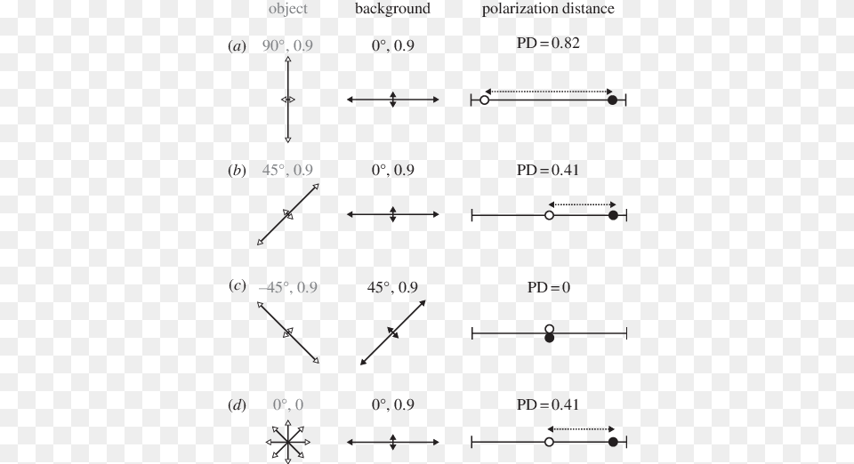 Example Polarized Object White Arrows Viewed Against Polarization, Chart, Plot, Text Free Png Download