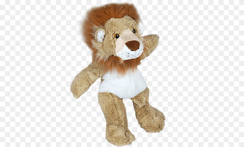 Examples Of Animal Skin, Plush, Teddy Bear, Toy Free Png