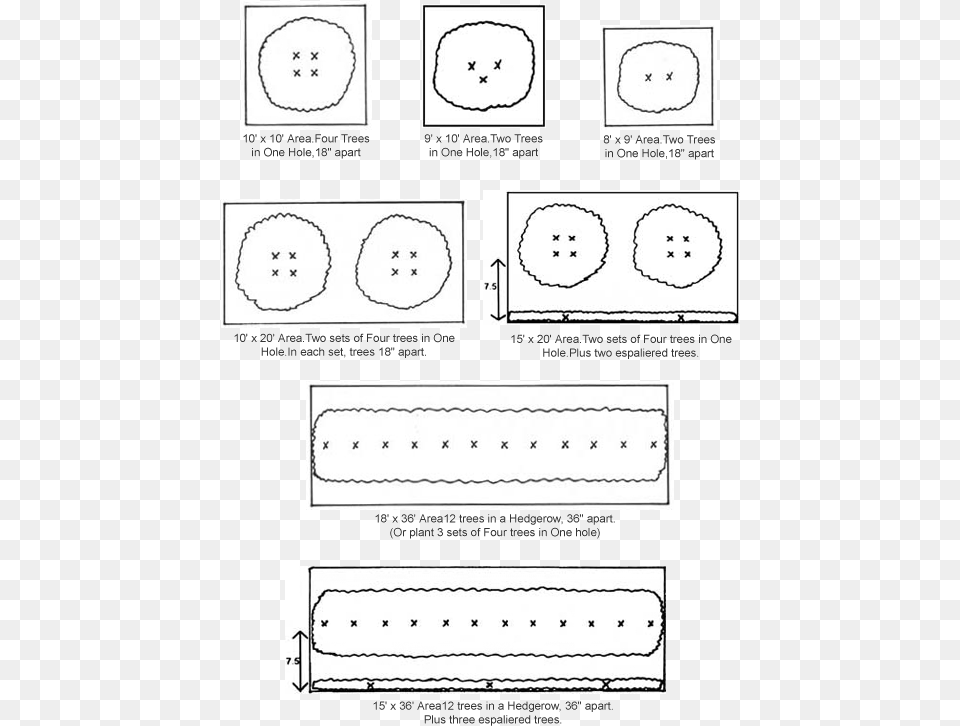 Examples Of High Density Fruit Tree Planting For Backyard Circle, Chart, Plot, Face, Head Free Png Download