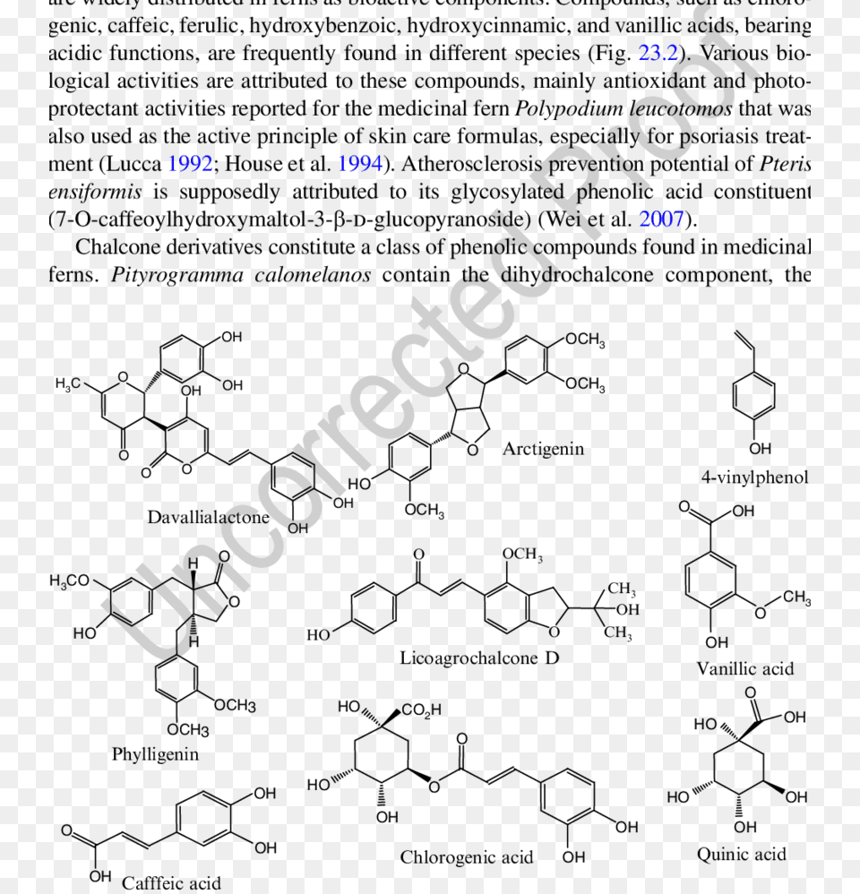 Examples Of Phenolic Molecules Present In Ferns Diagram, Text, Blackboard, Page, Advertisement Free Png Download