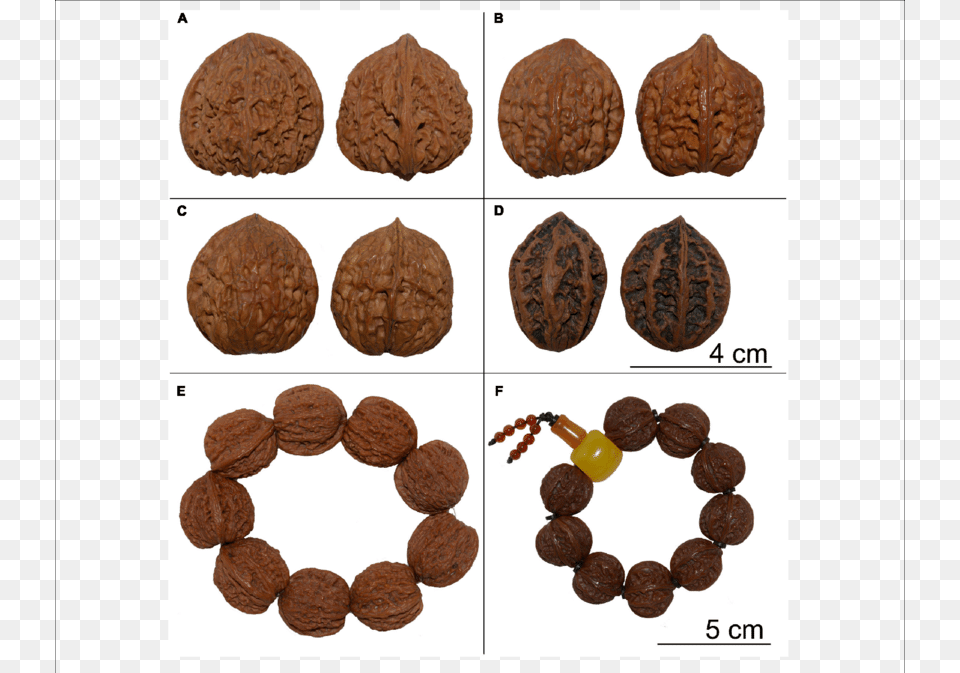 Examples Of Wenwan Walnut Products Juglans Hopeiensis, Nut, Food, Vegetable, Produce Free Png Download