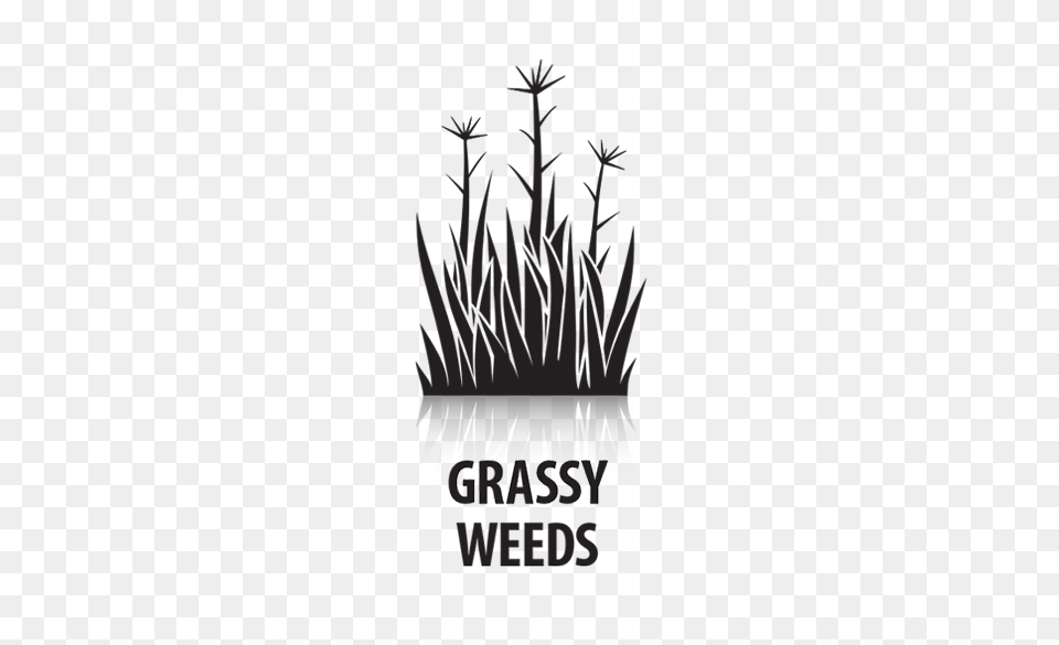 Excellent Control Of Grassy And Broadleaf Weeds, Silhouette, Gravestone, Tomb, Text Free Png Download