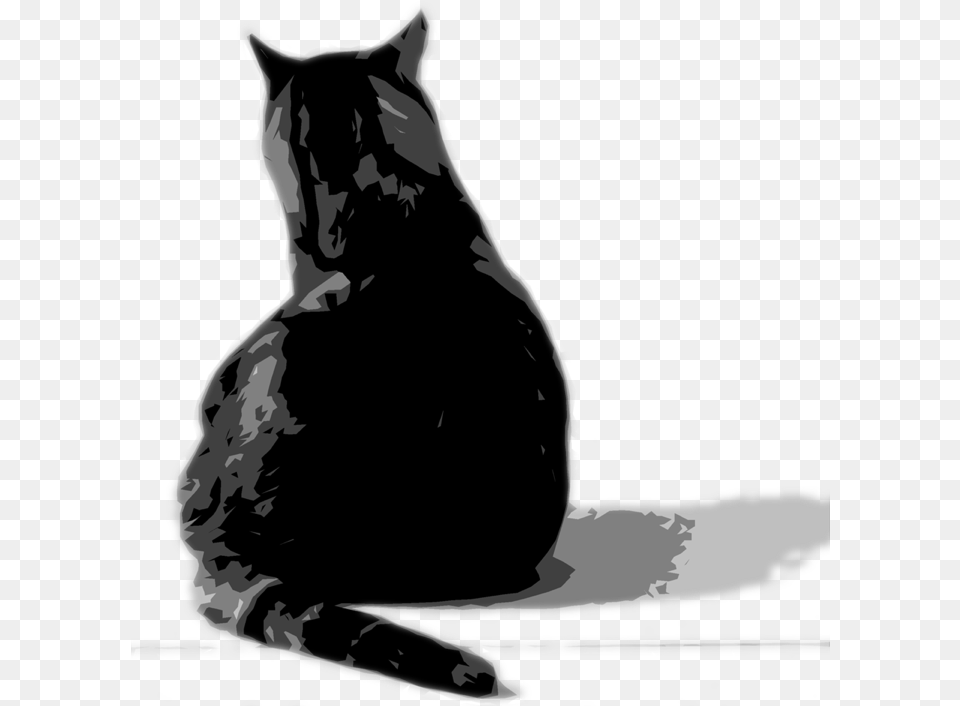 Exceptional Care For Exceptional Cats Cat Shadow, Animal, Mammal, Pet, Adult Free Transparent Png