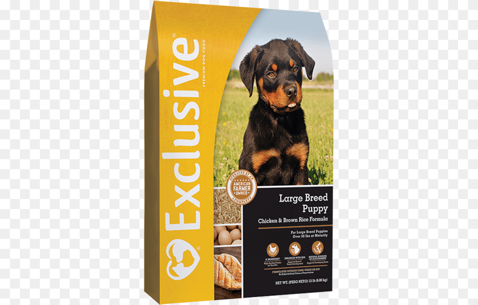 Exclusive Large Breed Puppy Dog Food Chicken And Brown Exclusive Large Breed Dog Food, Advertisement, Poster, Animal, Canine Png