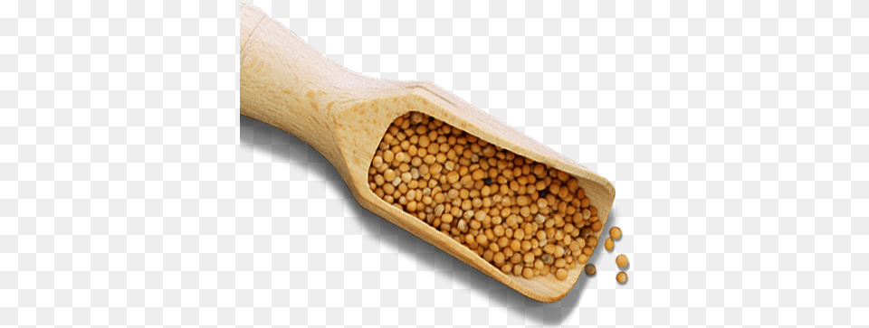 Exclusively Uses Mustard Seed, Cutlery, Food, Spoon, Produce Png Image