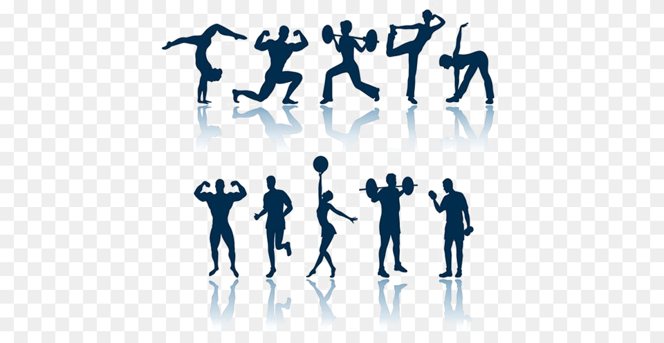 Exercise Bone And Muscle Strengthening Exercise, Person, People, Adult, Man Png Image