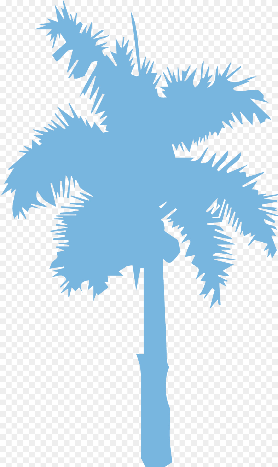 Exhibit Booth Fees Sabal Palm, Palm Tree, Plant, Tree, Outdoors Free Transparent Png