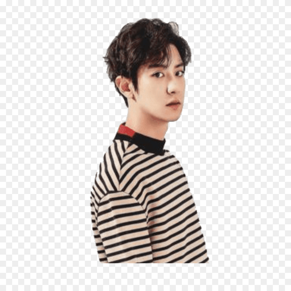 Exo Chanyeol Parkchanyeol Sticker, Boy, Portrait, Photography, Person Png