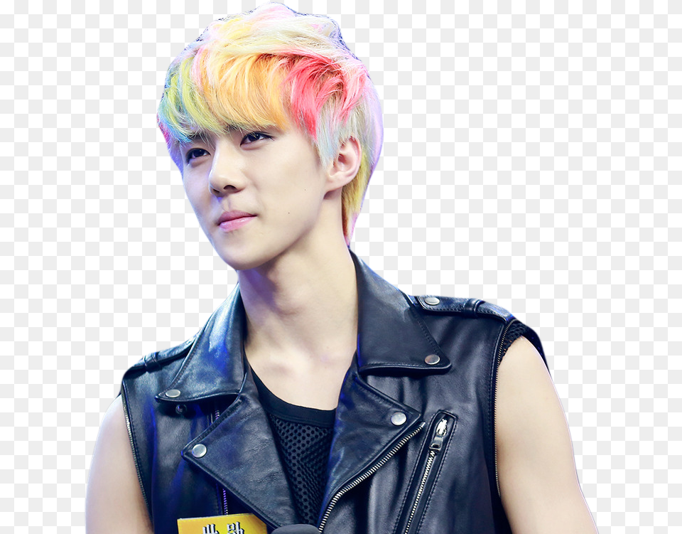 Exo Happy Camp Sehun 2013, Adult, Person, Jacket, Hair Free Transparent Png