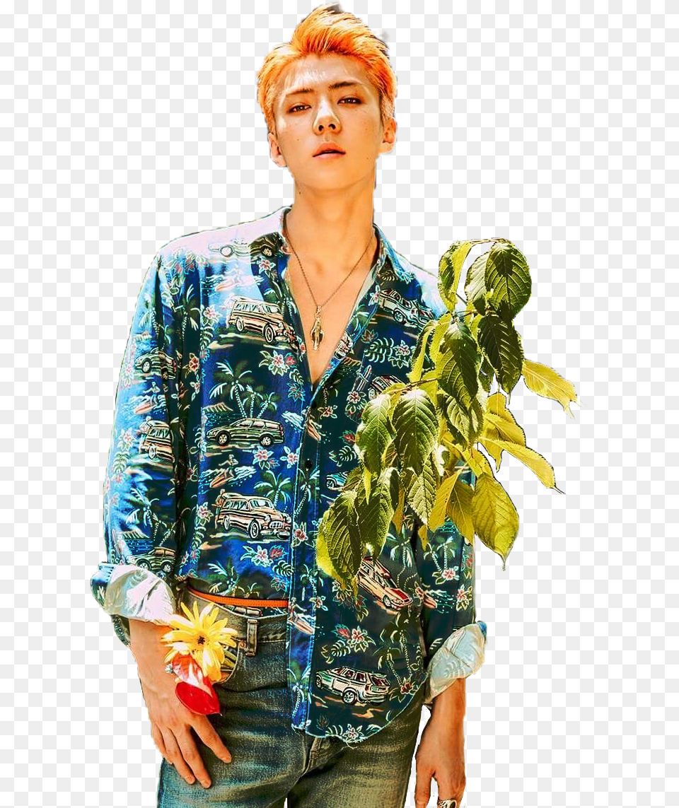 Exo Kokobop Sehun Freetoedit Sehun Kokobop, Sleeve, Leaf, Clothing, Plant Png