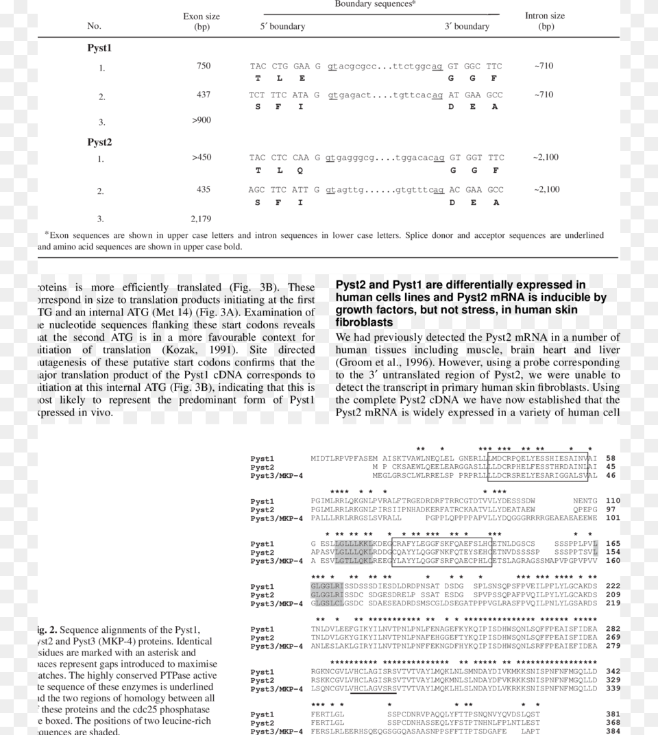 Exon Intron Boundary Sequences Of The Human Pyst1 And, Page, Text Png Image