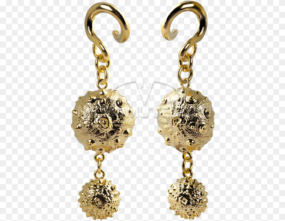 Exoskeleton Sea Urchin Brass Pendant Ear Earrings, Accessories, Earring, Jewelry, Gold Free Png