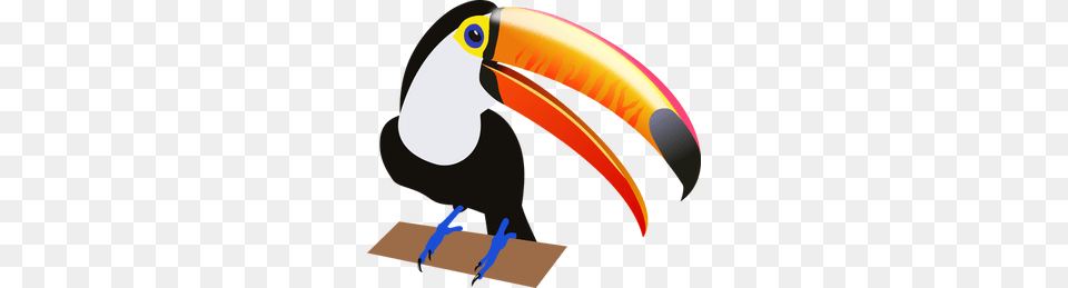Exotic Bird Clip Art, Animal, Beak, Toucan Free Transparent Png