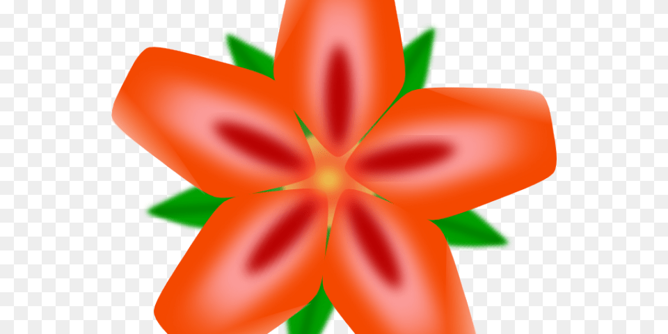 Exotic Clipart Mexican Flower Download Hawaiian Flowers Clip Art, Plant, Petal, Person, Lily Png