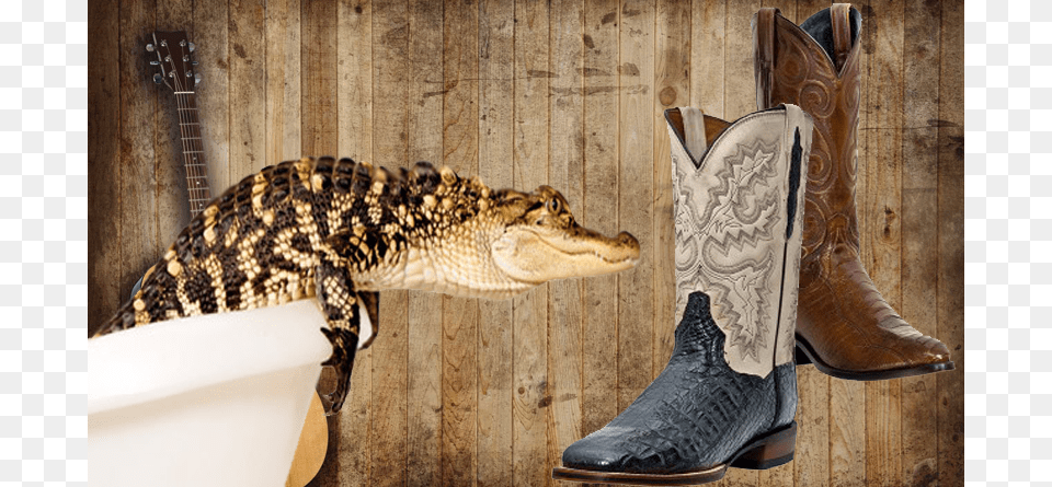 Exotic Cowboy Boots High Resolution Rustic Wood Background, Animal, Lizard, Reptile, Boot Free Png