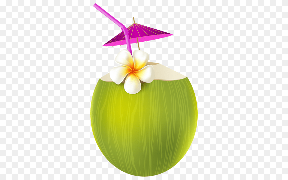 Exotic Drink Transparent Clip Art Gallery, Food, Fruit, Plant, Produce Free Png Download