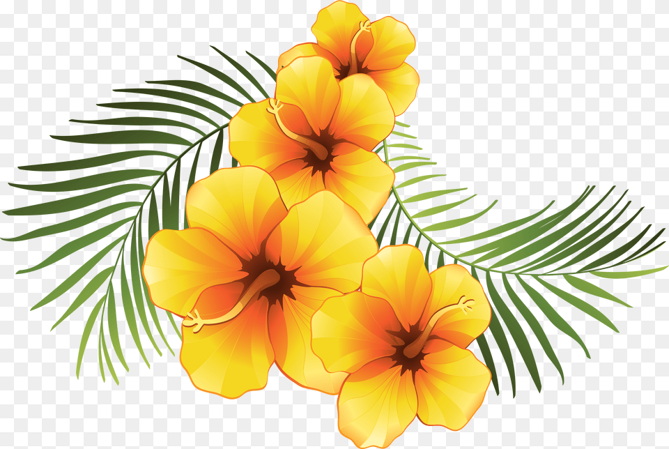 Exotic Floral Decoration Clip Art Image Tropical Flowers Background, Floral Design, Flower, Graphics, Pattern Free Png
