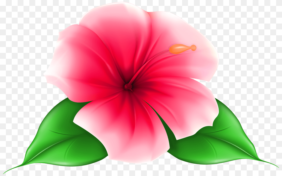 Exotic Flower Clip Art, Gray Png