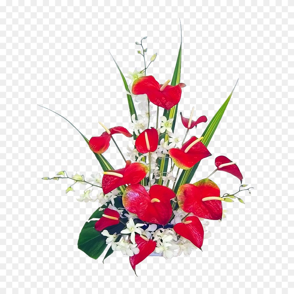 Exotic Flower Clip Art Free Information, Flower Arrangement, Flower Bouquet, Plant, Floral Design Png Image