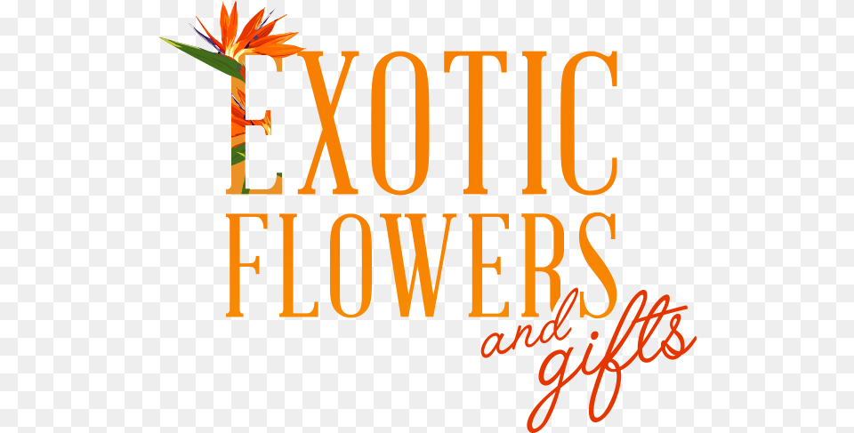 Exotic Flowers And Gifts Calligraphy, Book, Publication, Text Png