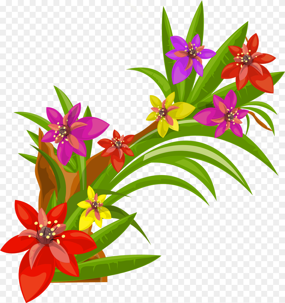 Exotic Flowers Art Flower Decoration Flowers Graphic High Res, Floral Design, Graphics, Pattern, Plant Free Transparent Png
