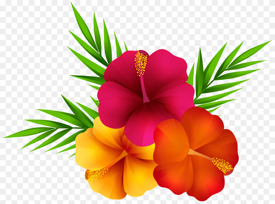 Exotic Flowers Clip Art Free Transparent Png