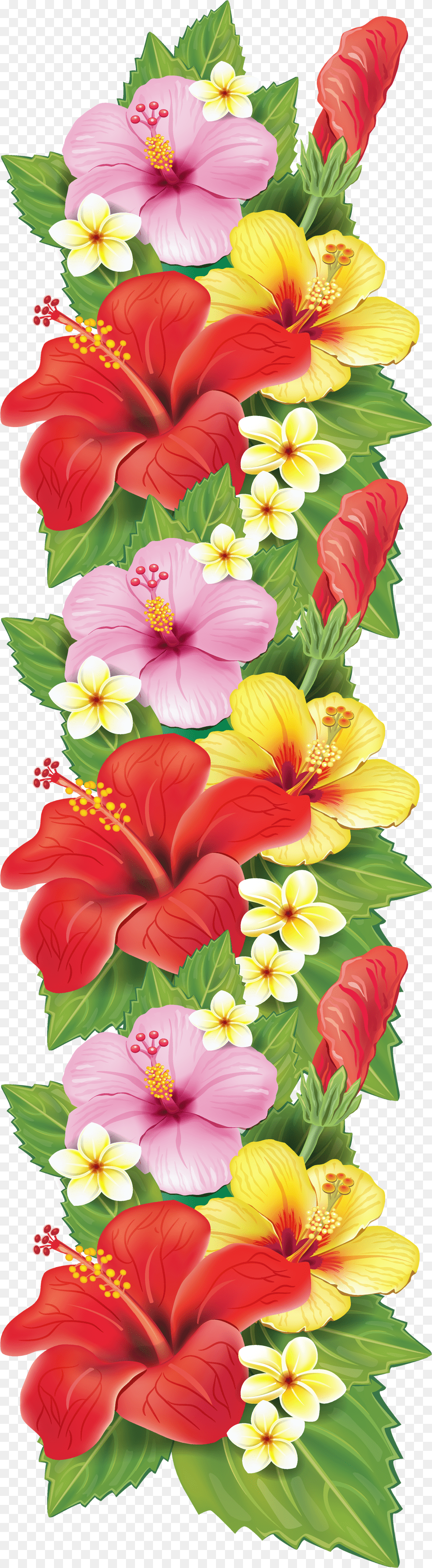 Exotic Flowers Decoration Clipart Flower Clipart Border Design, Plant, Flower Arrangement, Petal, Hibiscus Free Png