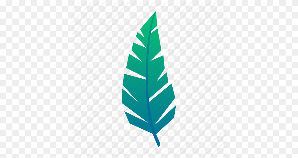 Exotic Green Jungle Leaf Leaves Plant Tropical Icon, Person Free Png