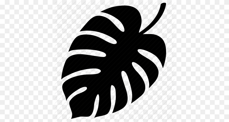 Exotic Green Jungle Leaf Nature Tropical Vegetal Icon, Spiral, Machine, Coil Png Image