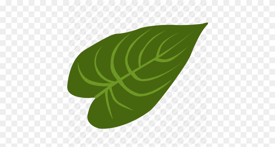 Exotic Herb Leave Plant Tropical Icon, Leaf, Herbal, Herbs, Green Free Png Download