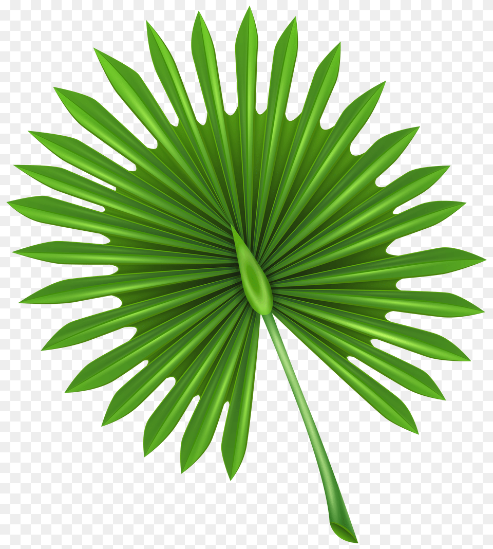 Exotic Leaf Clip Art Free Transparent Png