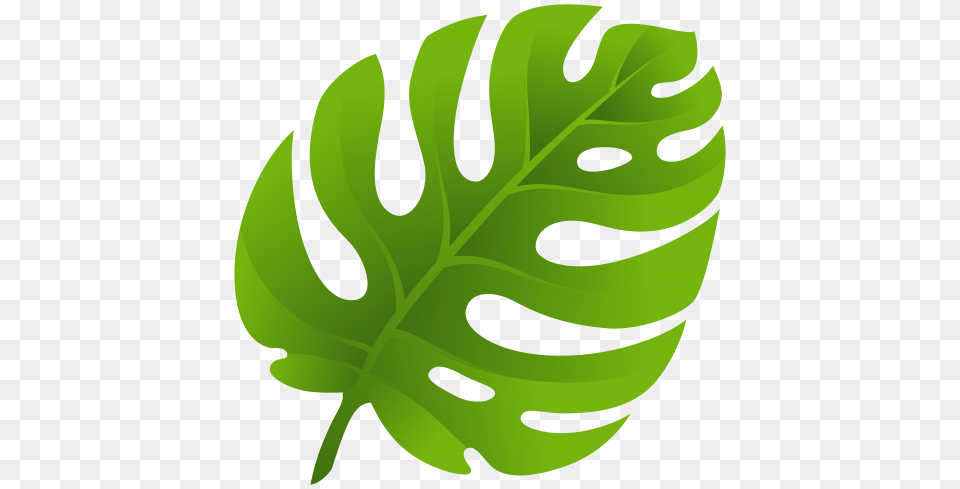 Exotic Leaf Clip Art, Plant, Person, Fern, Face Png Image