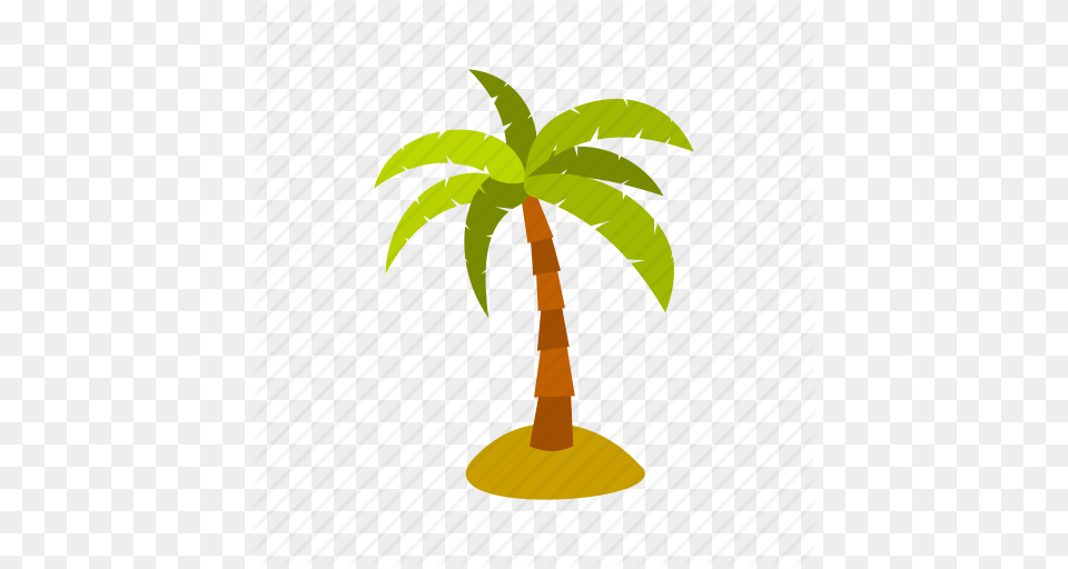 Exotic Leaf Nature Palm Plant Tree Tropical Icon, Palm Tree Free Transparent Png