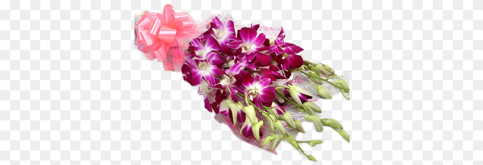 Exotic Orchids Bunch Sushma Florist, Plant, Flower Bouquet, Flower Arrangement, Flower Png Image
