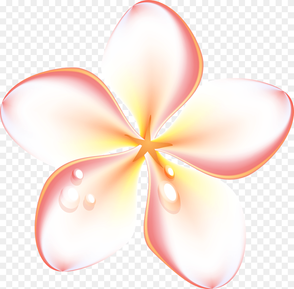 Exotic Summer Flowers Transparent Clip Art Image Summer Flower Png