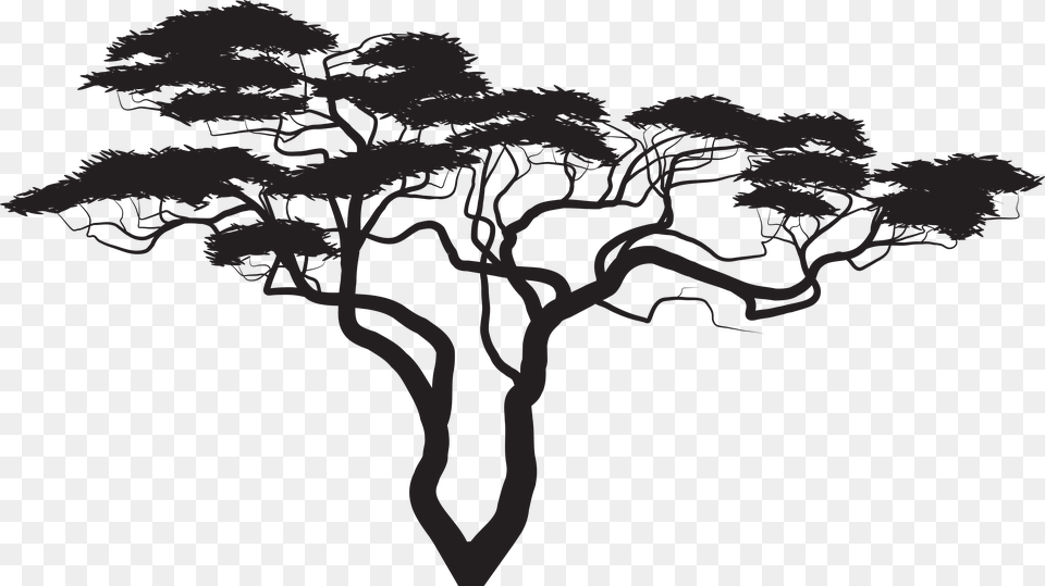 Exotic Tree Silhouette Clip Art Image African Tree Silhouette, Drawing, Plant Free Png Download