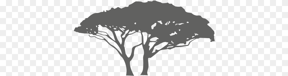 Exotic Tree Silhouette U0026 Svg Vector File Exotic Tree Silhouette, Art, Drawing, Person, Plant Free Png Download