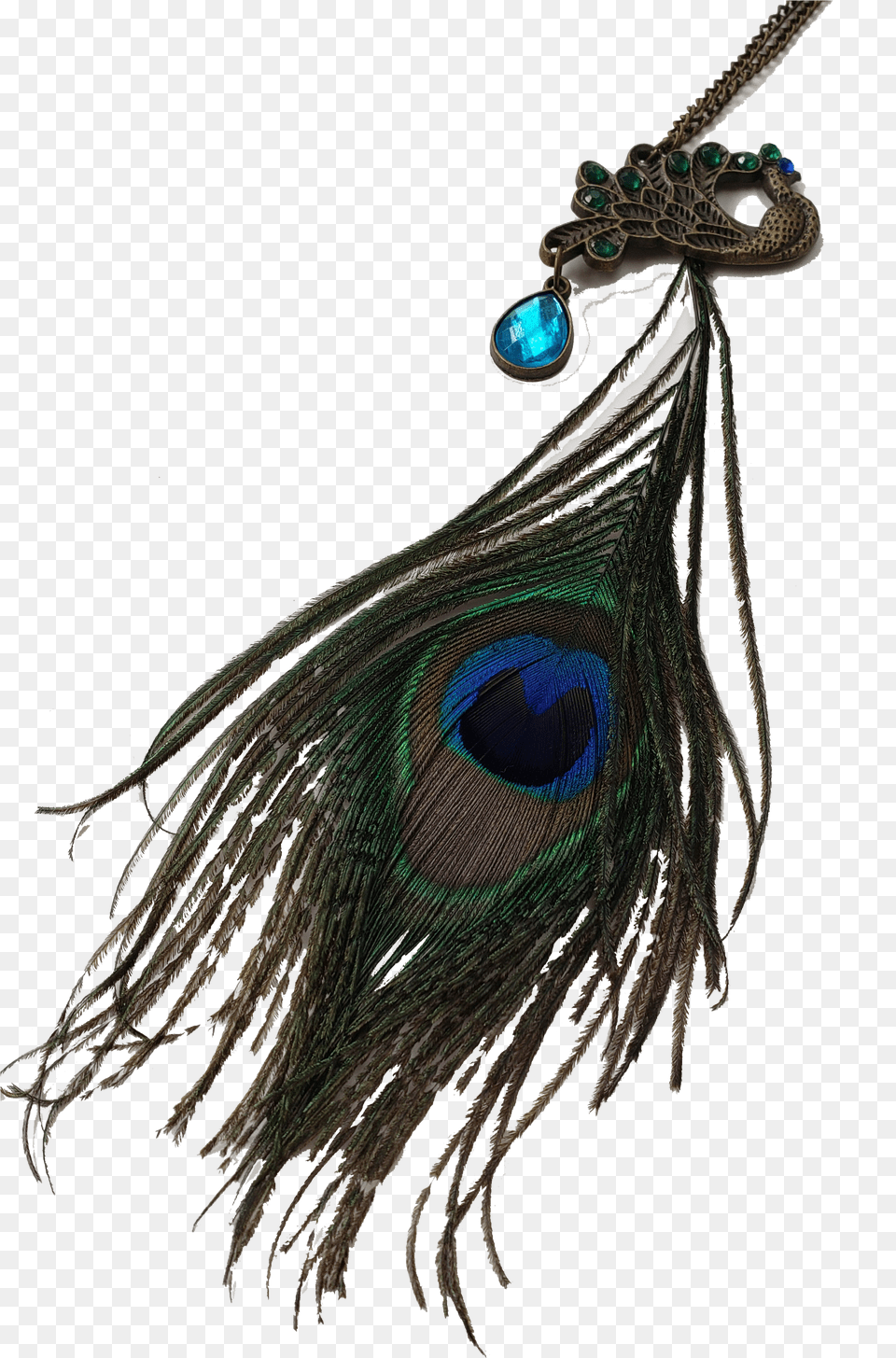 Exotica Peacock Feather Necklace Pendant Free Png