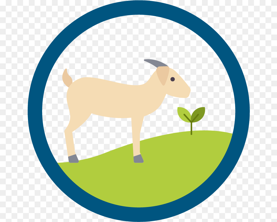 Expeditionary Learning Clip Art Moon, Livestock, Animal, Goat, Mammal Png