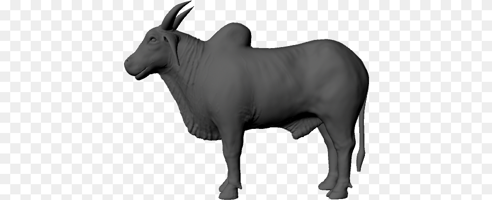 Experience Cover Photo Ox, Animal, Bull, Mammal, Cattle Free Transparent Png
