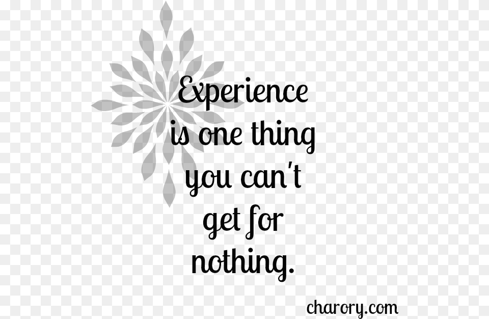 Experience Is One Thing You Cant Get For Nothing African Daisy, Text Free Png Download