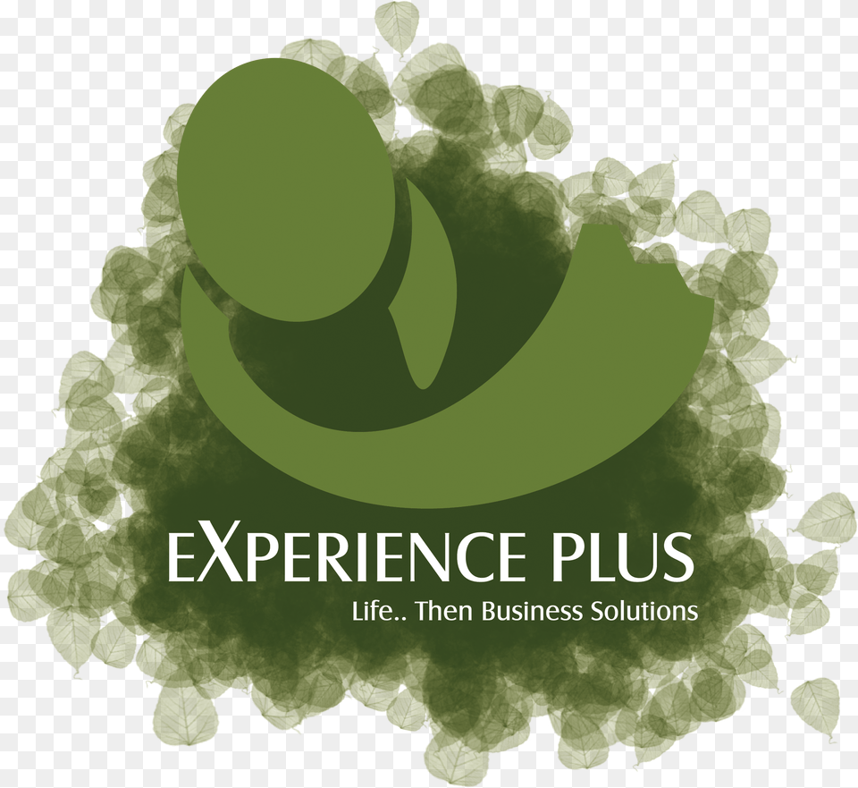 Experience Plus Icon Graphic Design, Green, Plant, Vegetation, Advertisement Free Png